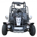 Adult Dune Buggy essence 300cc noir 