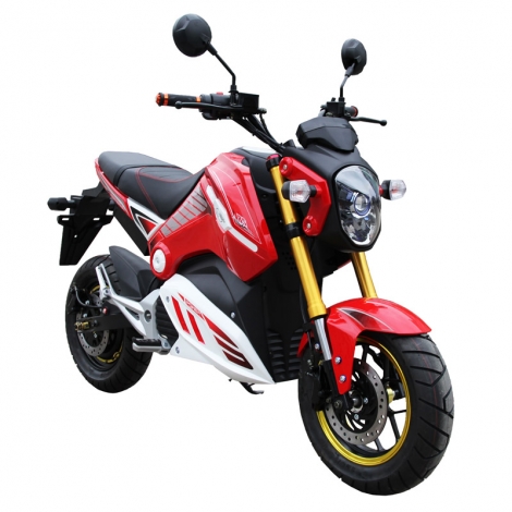 Moto électrique adultes longue portee 3000W